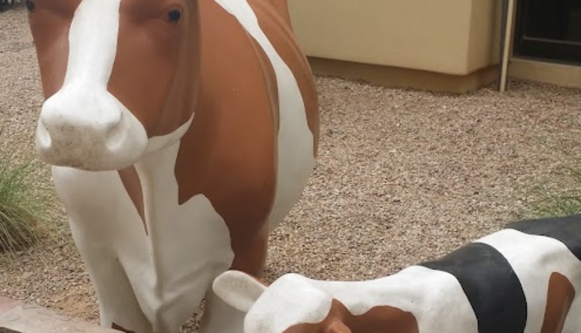 cow